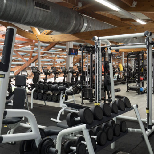 Sala de fitness muscular